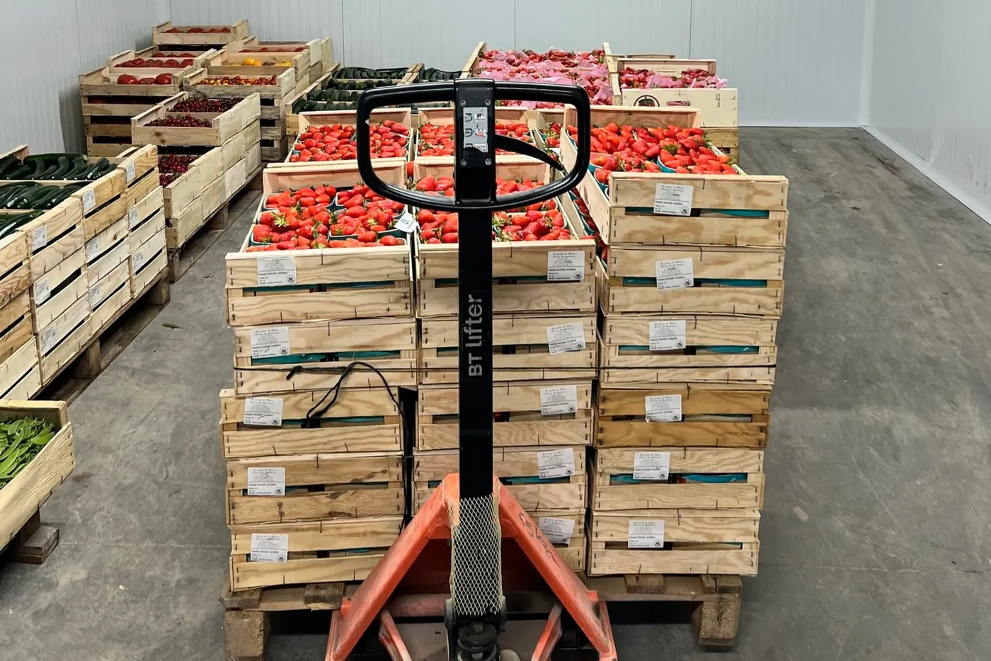 Chambre froide de fruits et légumes avec évaporateur double ventilateur
