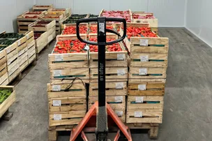 Chambre froide de fruits et légumes avec évaporateur double ventilateur