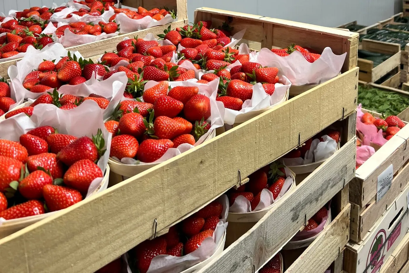 Barquettes de fraises stockées en chambre froide positive chez un commerçant