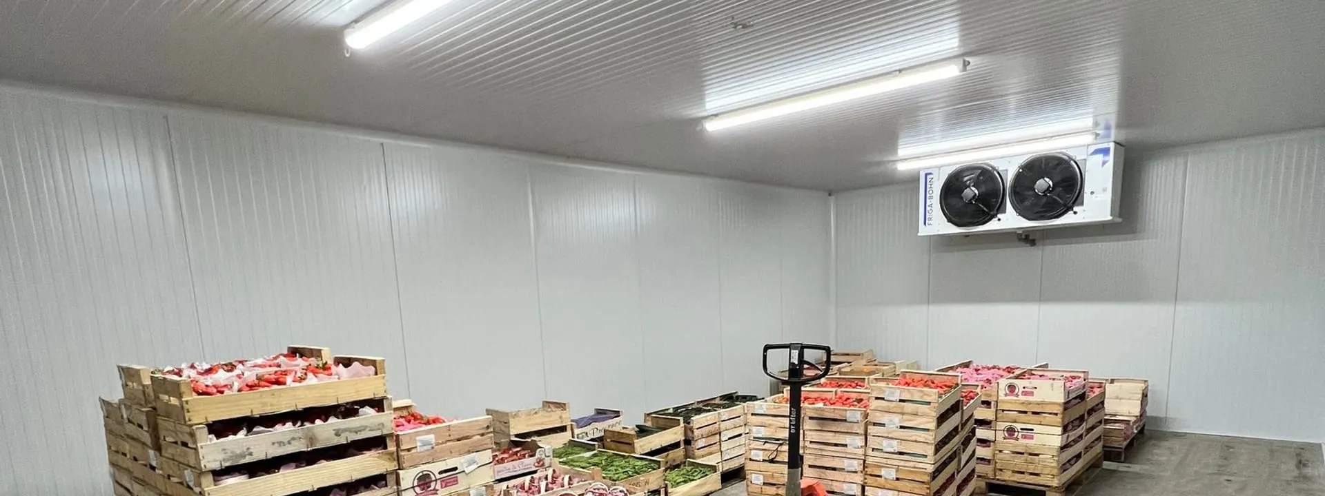Chambre froide positive installée par MS ECO TECH : cagettes de fruits et légumes sous l'évaporateur, panneaux sandwich blancs